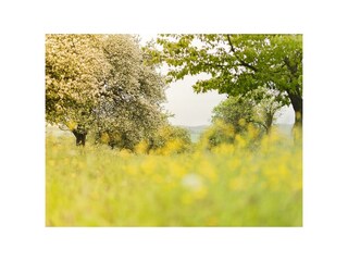 ZS_LAL_UschiWagner_8bit_1