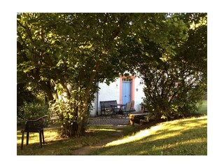 Weg zum BACKHAUS unter Haselnussbäumen