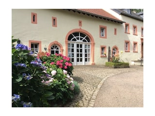 Blühende Hortensien in bunten Beeten