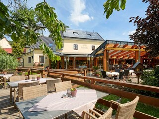 Terrasse Mausefalle (1)