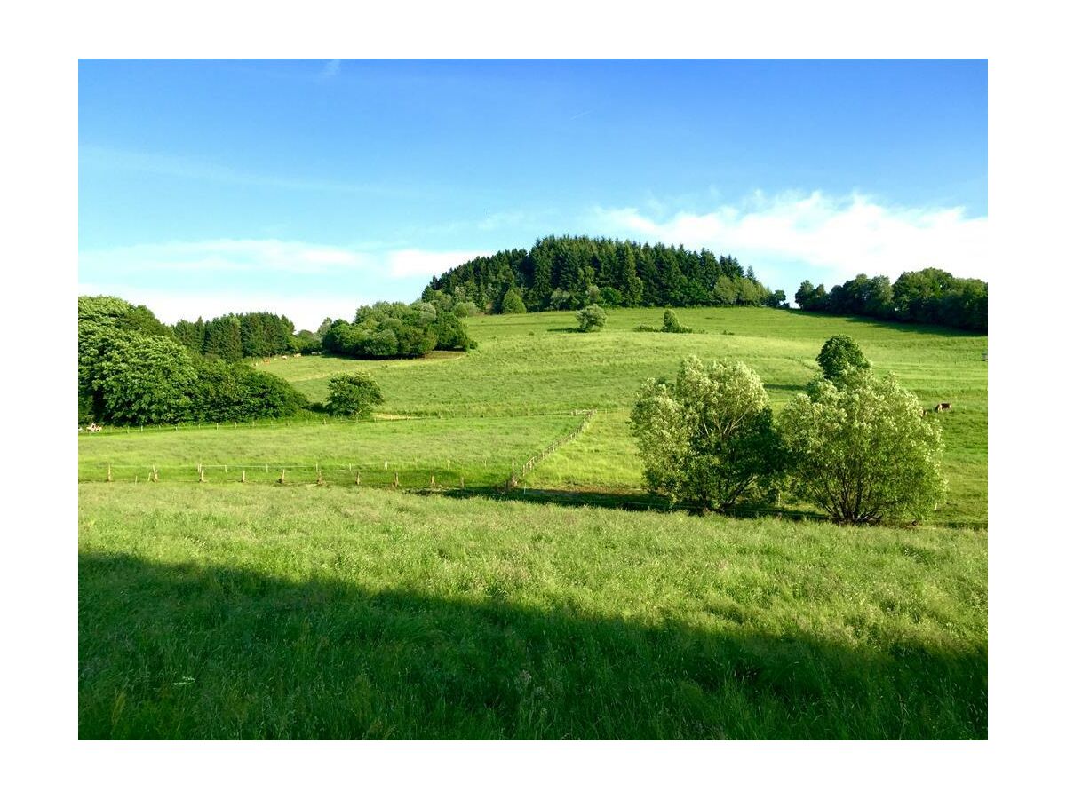 Berlingen / Vulkaneifel