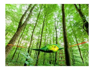 EifelAdventures Baumzelt