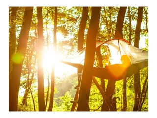 EifelAdventures Baumzelt