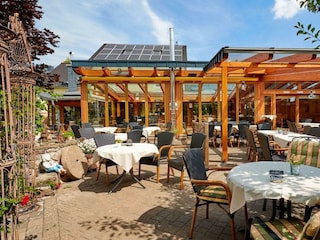 Terrasse Mausefalle (2)