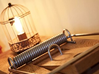 Mäusezimmer Mausefalle (3)