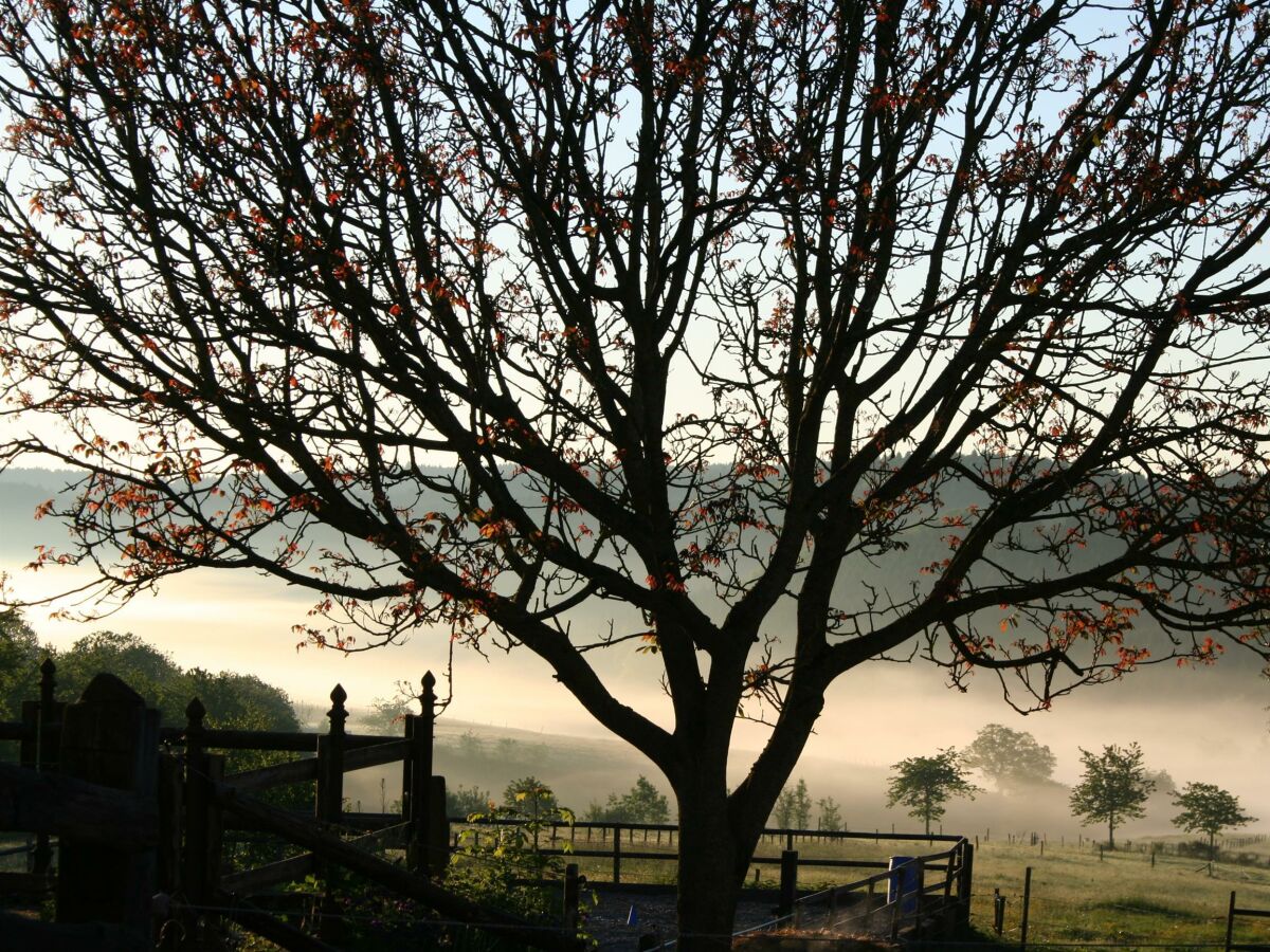 Ausblick ins Tal