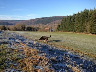 C5B59CE5-02FC-4030-8467-78519C2D6FF6