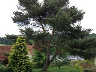 1504319C-5880-4B88-8628-39905A286F2C