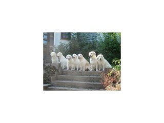 7AB55B04-30BB-47D7-B8AB-ABF603908EA5