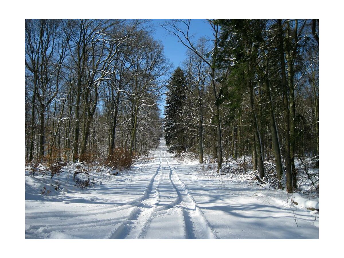 Winter in Lissendorf