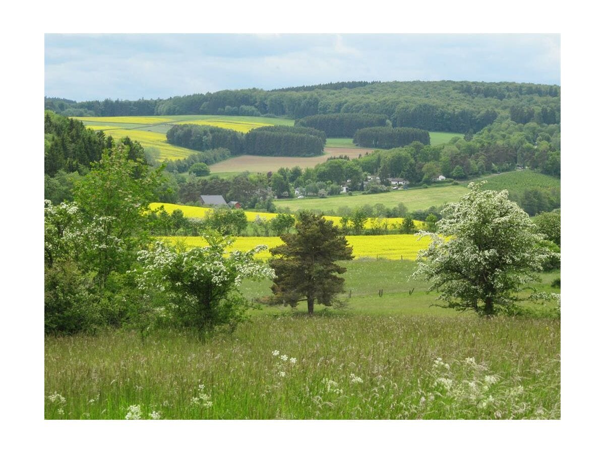 Lissendorf im Sommer