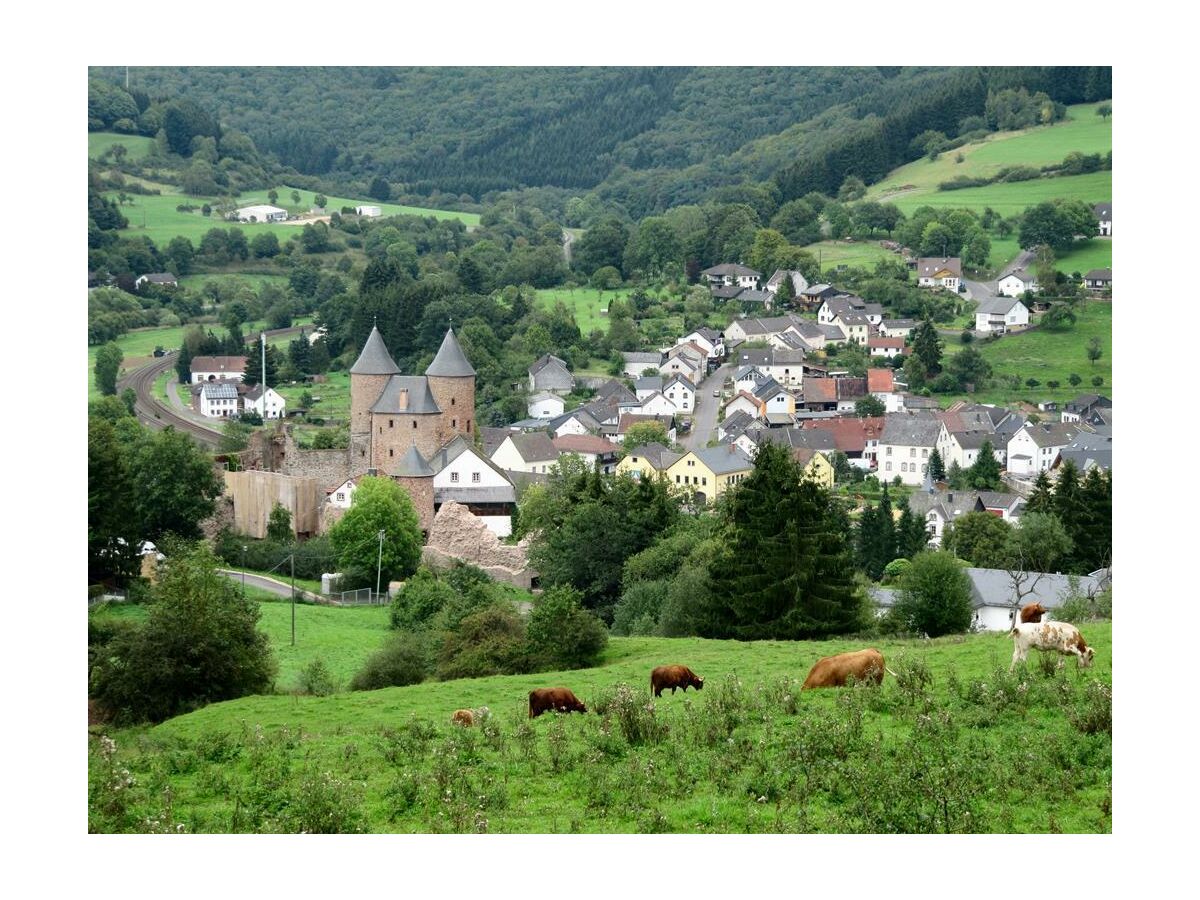 Bertradaburg in Mürlenbach