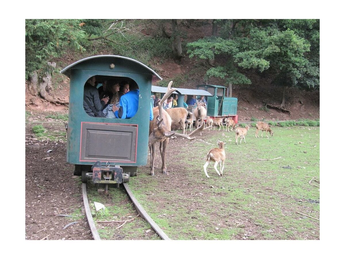 Eifel Zoo Lünebach