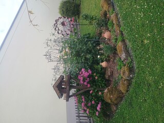 IMG_20250726_144347435