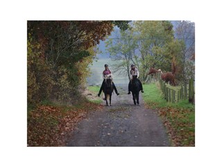 Heidberghof-Einfahrt