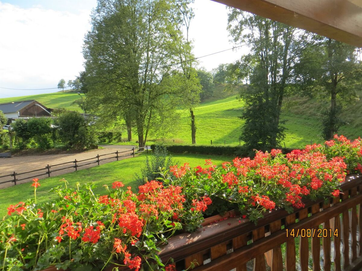 Aussicht vom Balkon