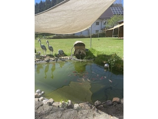 Garten und Fischteich