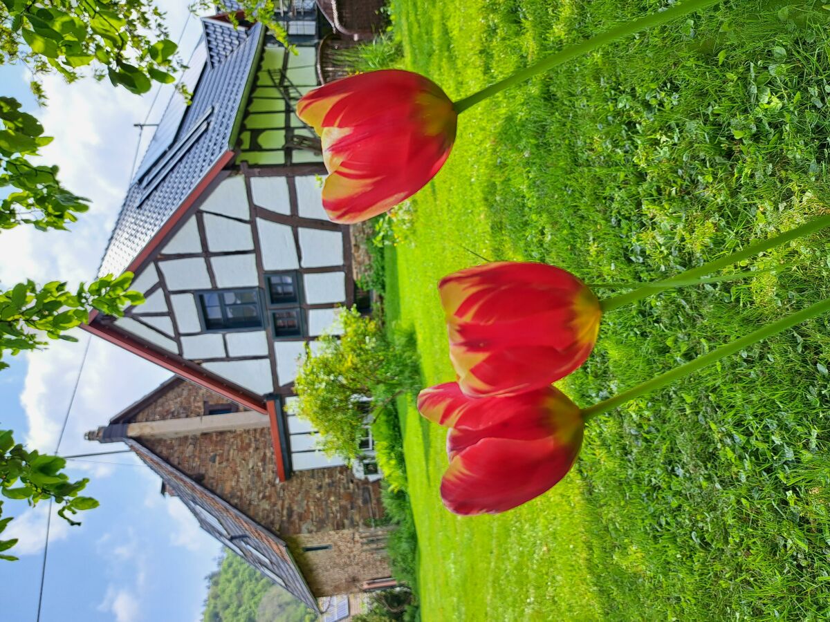 Frühling hält Einzug