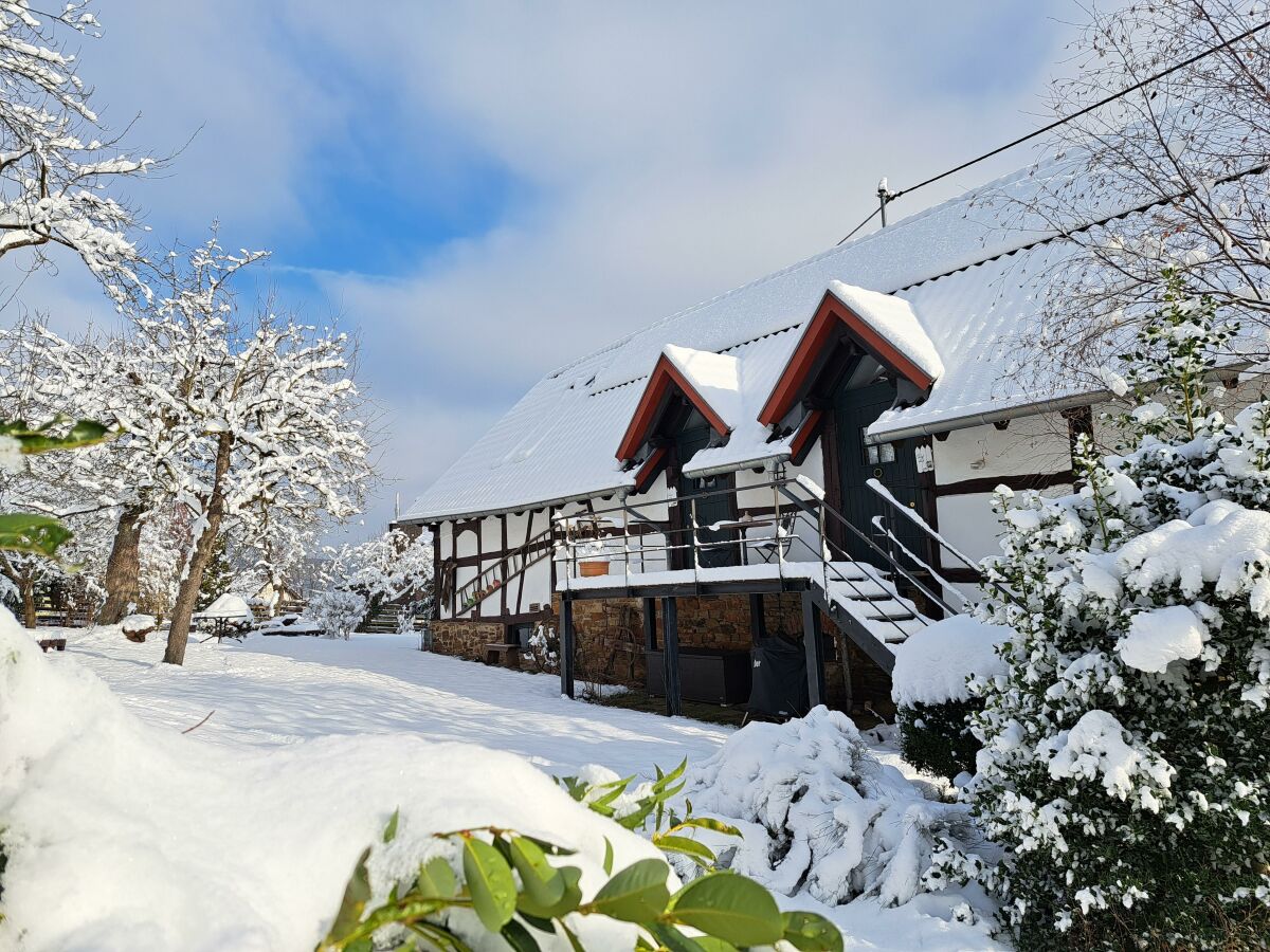 Winter im wunderschönen Garten