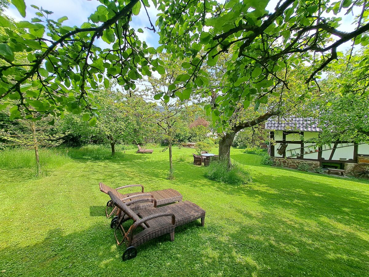 idyllischer Garten mit Obstbäumen