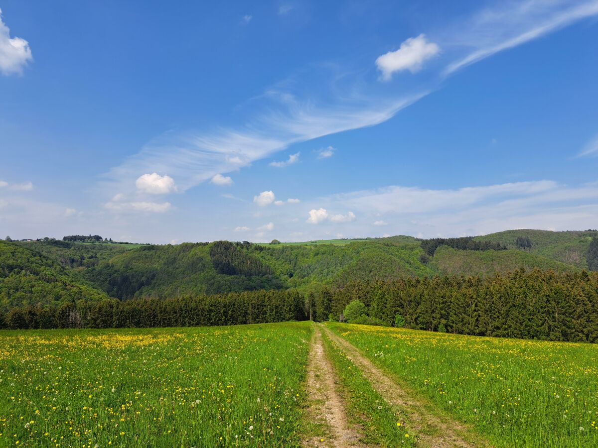 Wandern direkt ab der Haustür