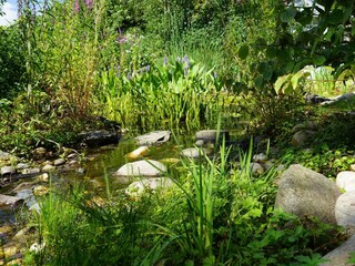 Der Teich im Garten