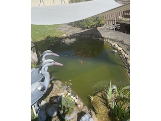 Fischteich