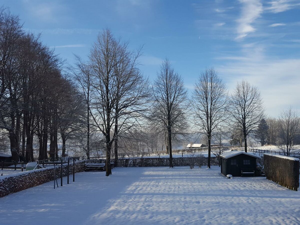 Garten Im Winter