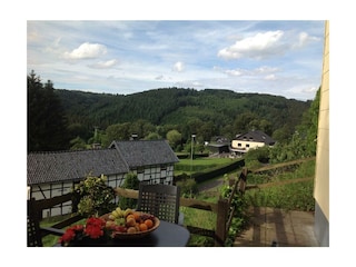 Terrasse hinter dem Haus Rurtal