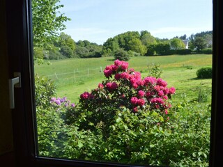 Blick aus dem Fenster der Ferienwohnung
