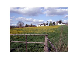 Schlössershof Umgebung