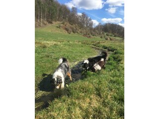 Umgebung Schlössershof