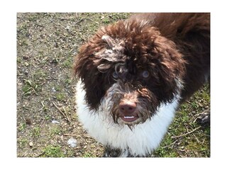 Gast im Schlössershof