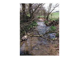 Bach direkt hinter dem Hof zum Matschen im Wasser