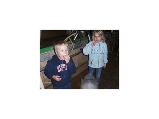 Milch direkt aus der Kuh frischer geht es nicht!