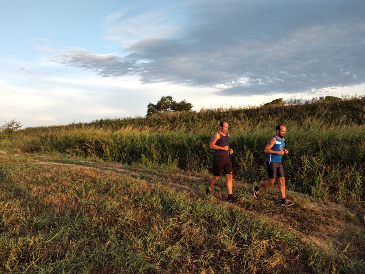 Joggen entlang der Felder