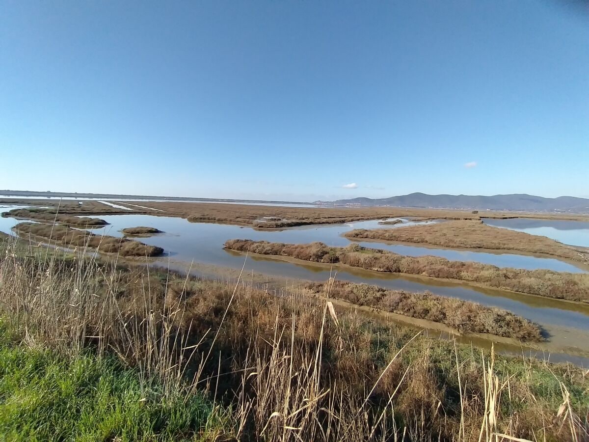 Naturschutzgebiet Diaccia Botrona