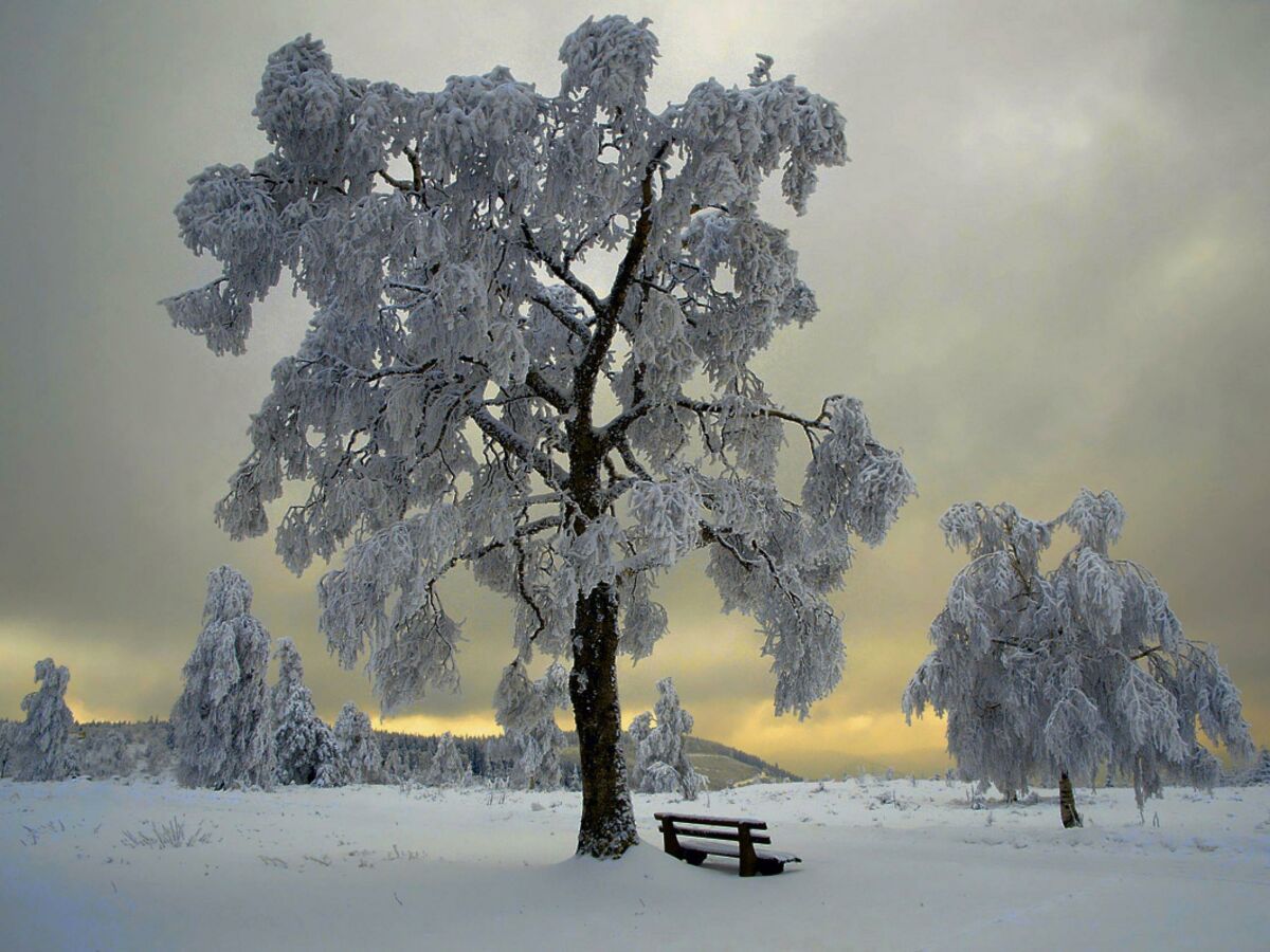 Winterlandschaft in der Eifel.