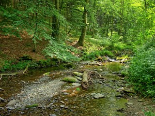 Bachlauf Erkensruhr_M. Weisgerber