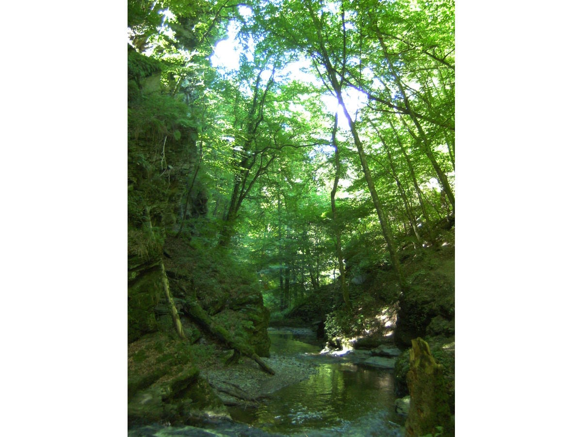 Traumschleife Ehrbachklamm