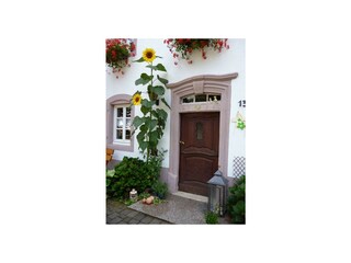 Eingangstür Bauernhaus