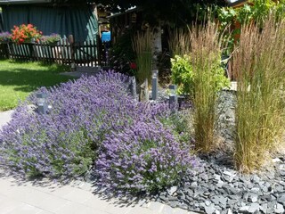 Appartement Bickendorf Buitenaudio-opname 4