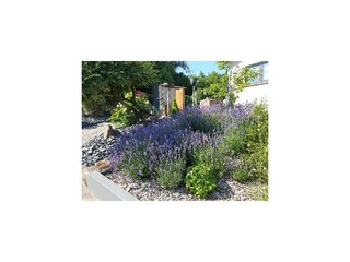 Appartement Bickendorf Buitenaudio-opname 8