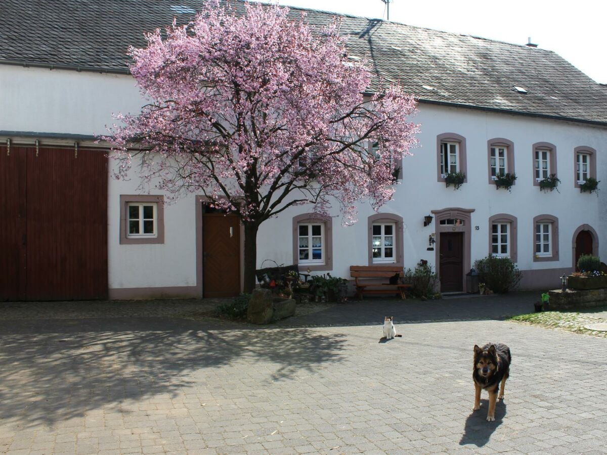 Bauernhaus