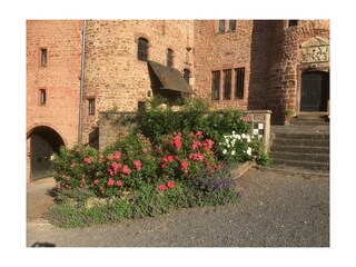 Schloss Hamm - Impression