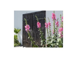 Apartamento Bitburg Grabación al aire libre 6