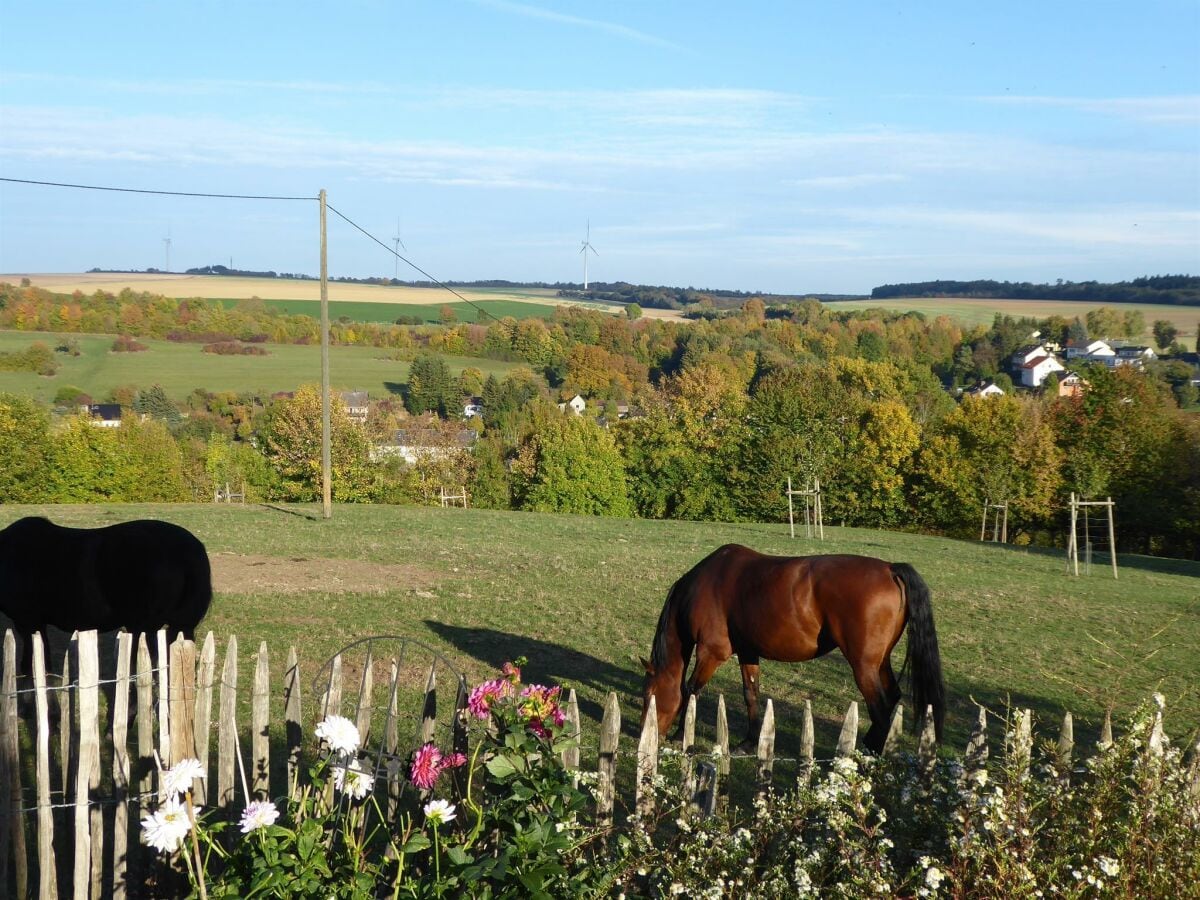 Ausblick von Terrasse