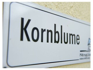 117_Nengshof_160513_KN69416