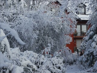 Haus Ilex m. Garten, Winter