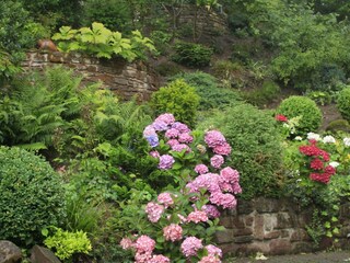 Garten Haus Ilex 2- Frühling